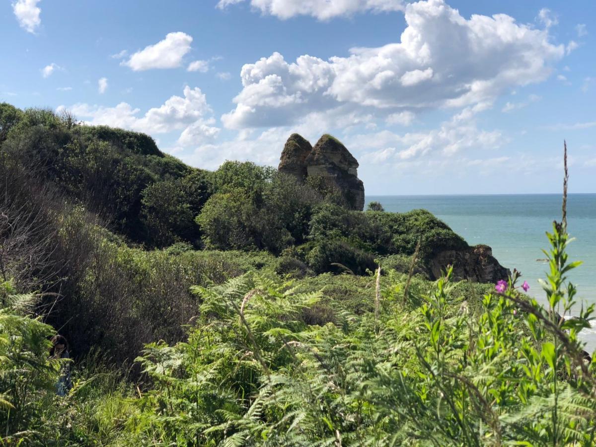 Le Petit Clos Du Bessin Longues-sur-Mer Esterno foto